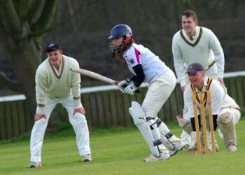What Can We Learn From The Famous Cricket?