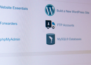 What You Must Know Before Choosing A Web Host