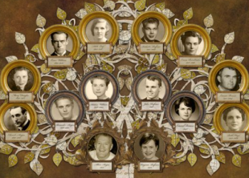 5 Tips for Building a Comprehensive Family Tree on MyHeritage