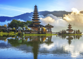 Lidl Reisen Website Reviews: Your Ultimate Guide to Booking Hotels with Ease